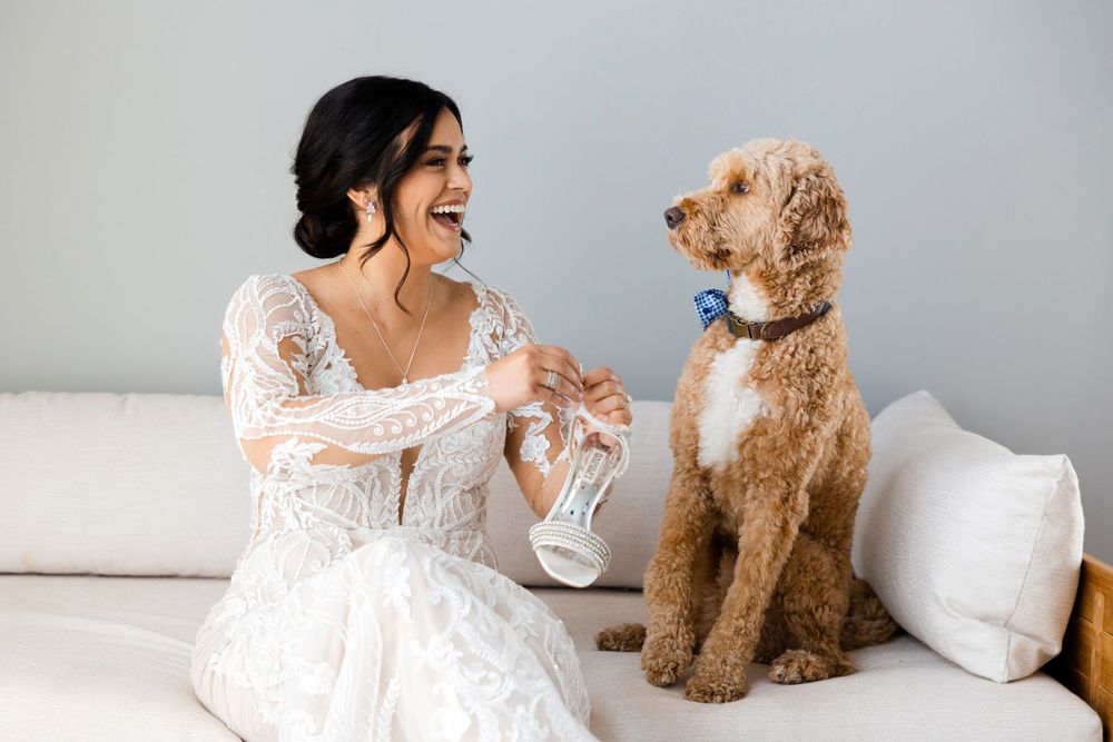 Bride's dog helping her get ready for wedding at Jorgensen Farms in Westerville, Ohio.