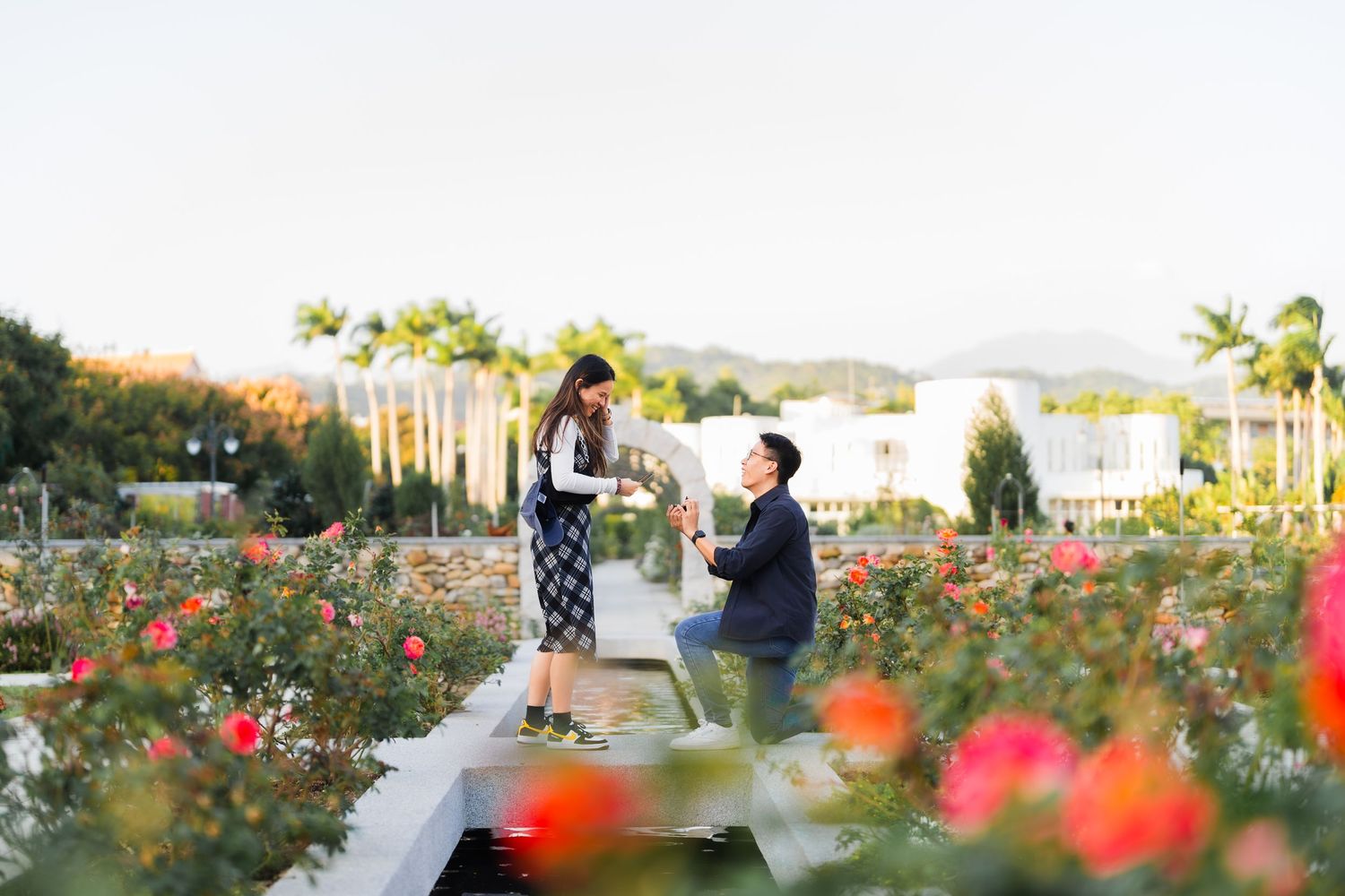 A proposal scene in a beautiful flower garden with red blooms and palm trees.