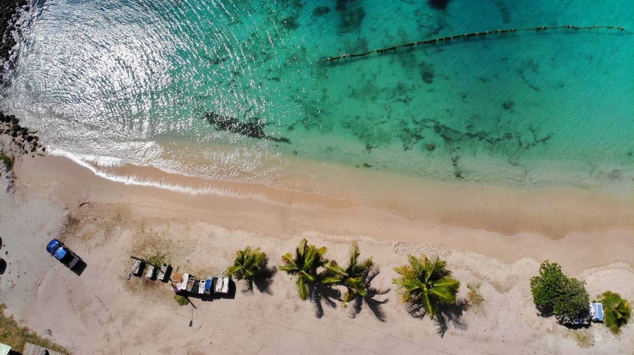 Aerial view of turquoise beach waters with palm trees and parked vehicles.