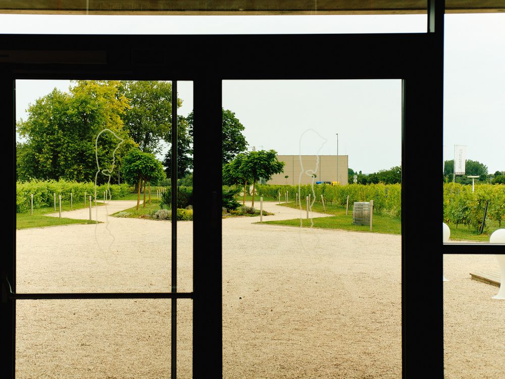 View through sliding glass doors showing gravel courtyard and green landscape.