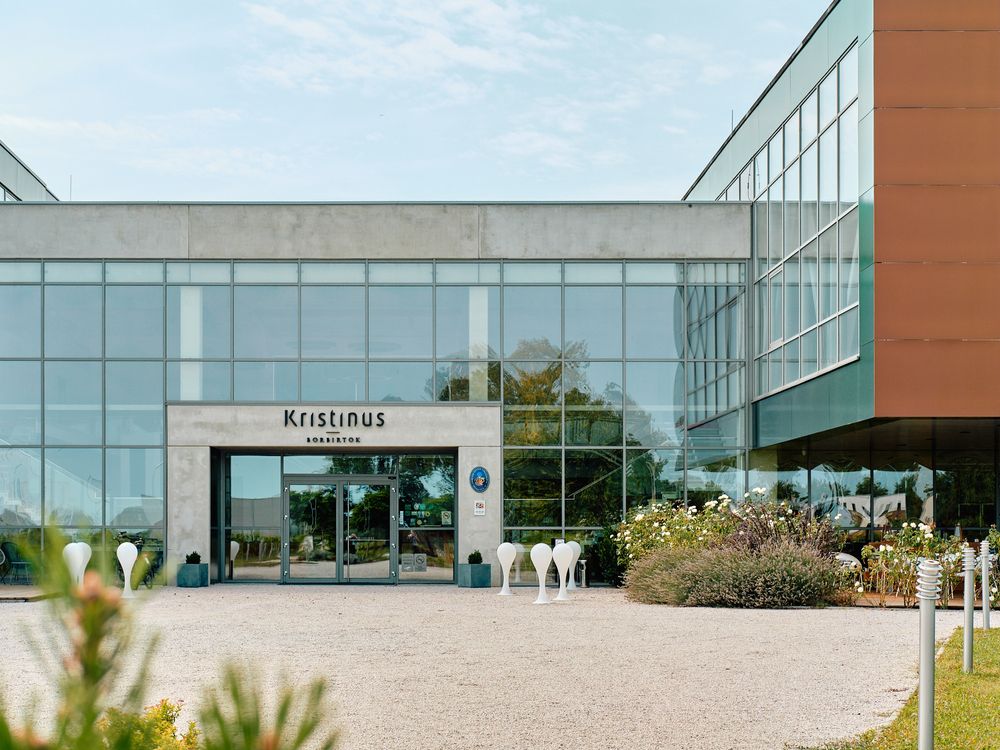 Contemporary glass building exterior with Kristinus signage and landscaped entrance.