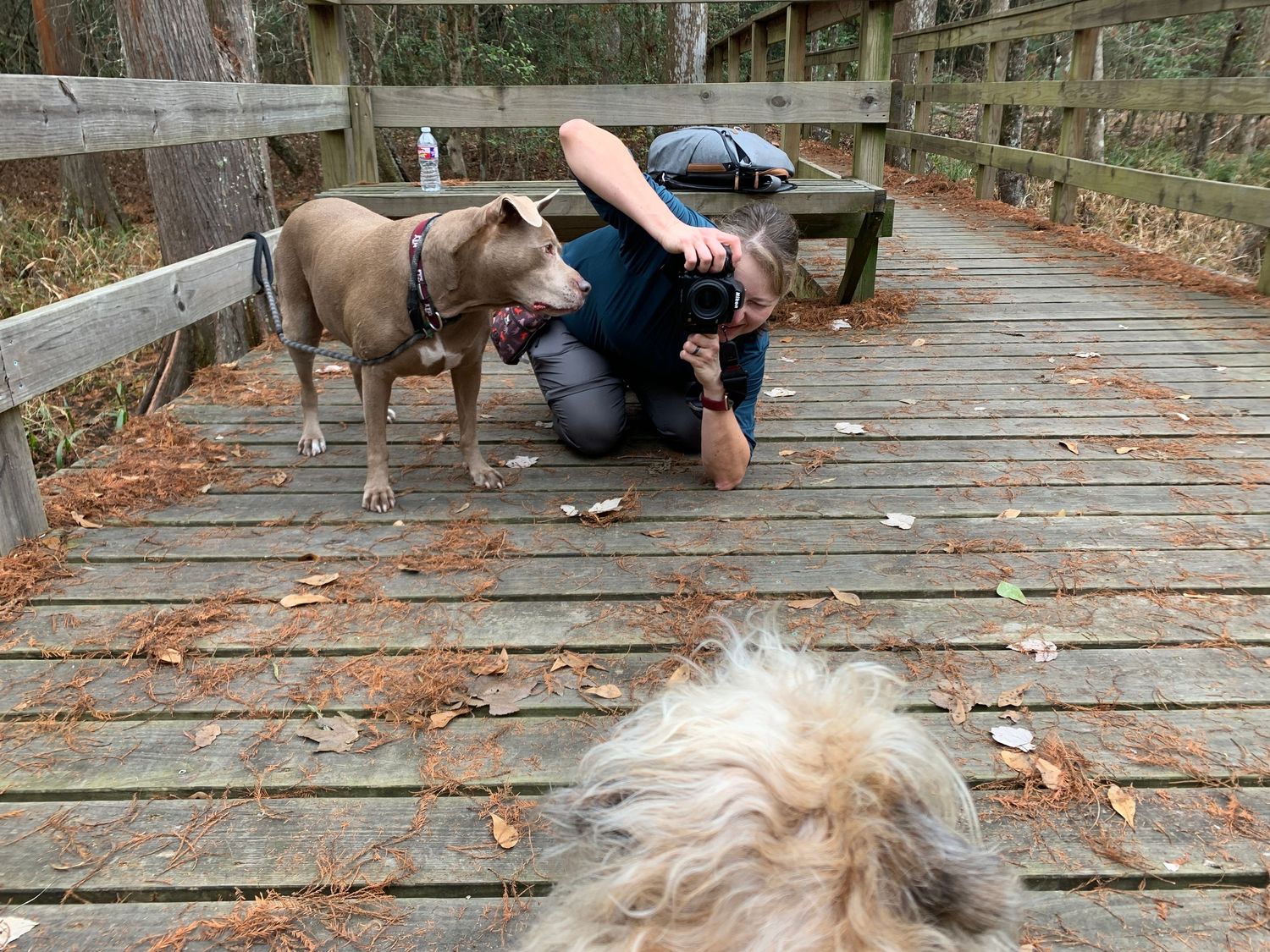 photo of Kelly J. Russo photographing a dog in Texas