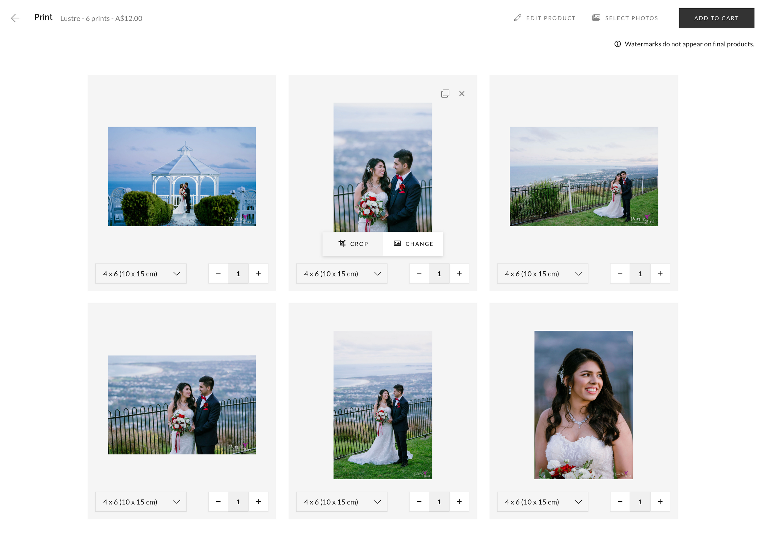 Wedding photo gallery preview showing seaside ceremony and portrait selections.