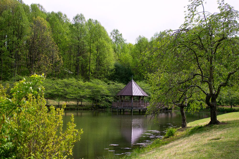 Serene lakeside gazebo surrounded by lush green trees and spring foliage.