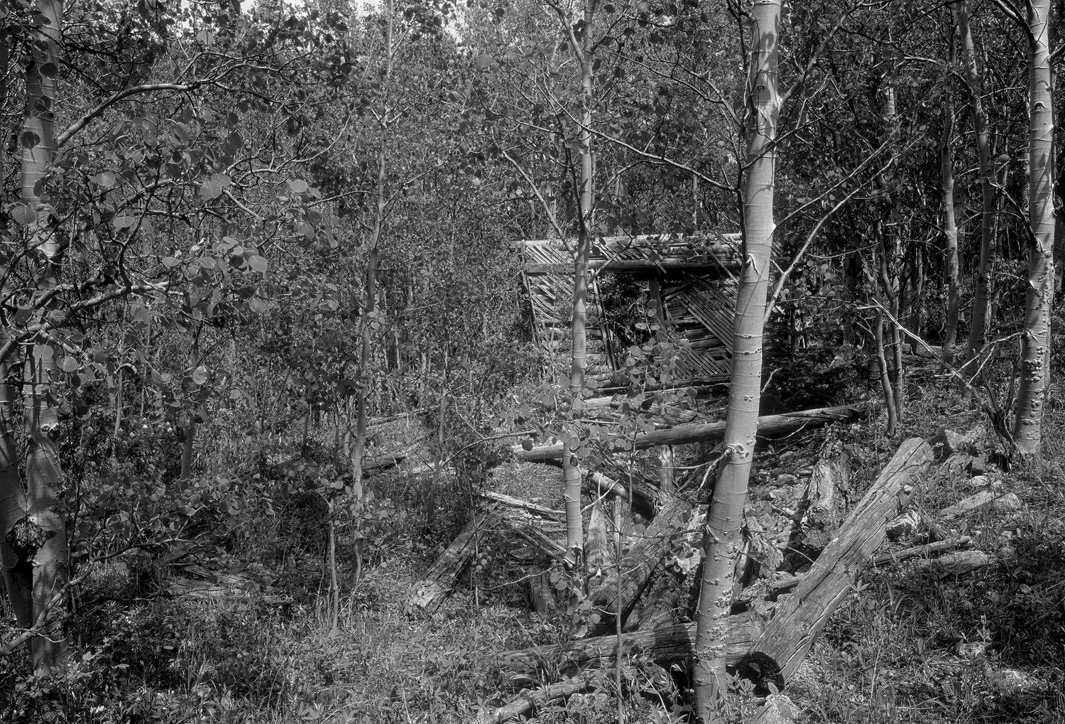 Camp Francis, Colorado