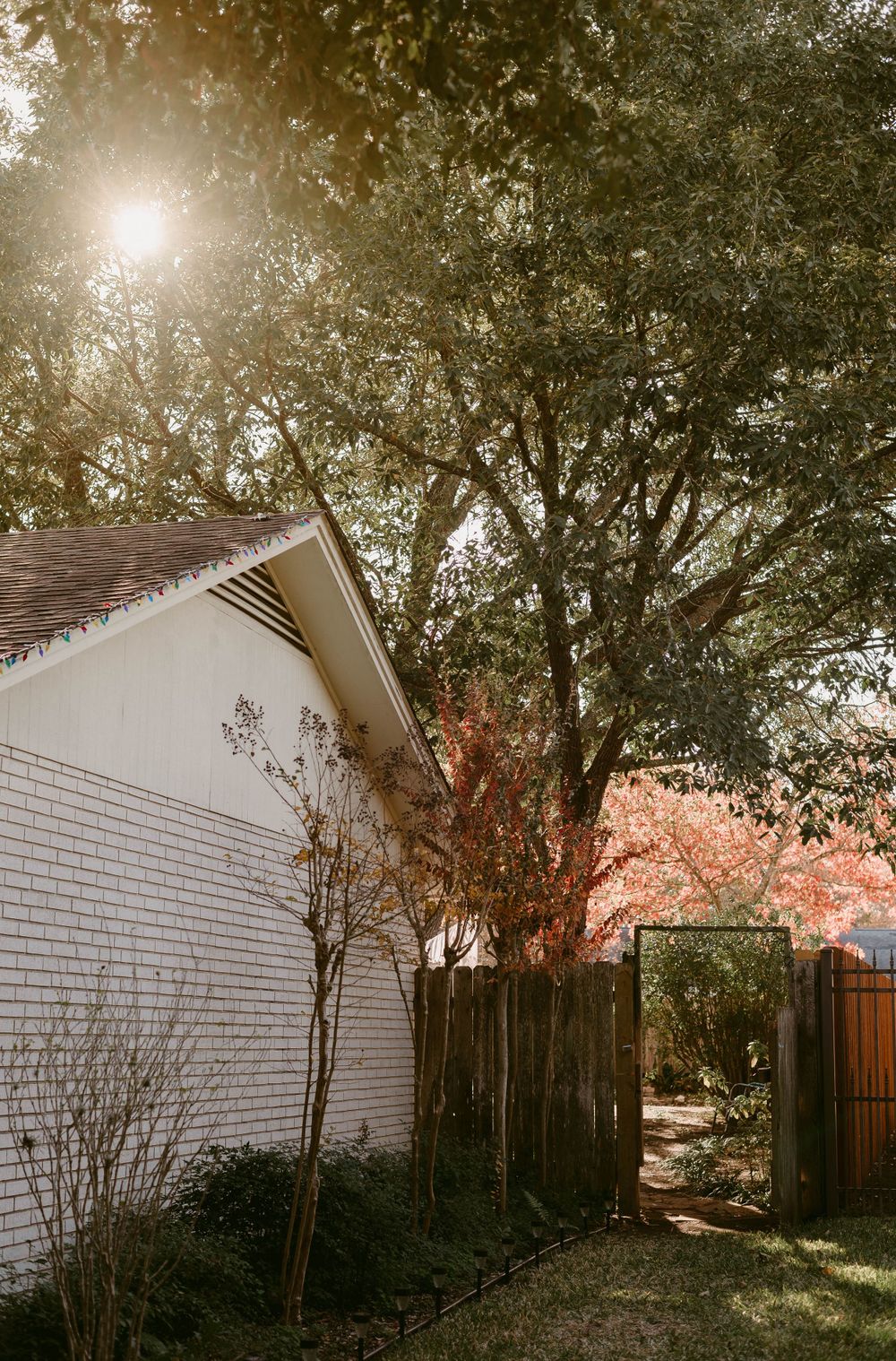 White brick house exterior with trees and wooden fence in afternoon sunlight.