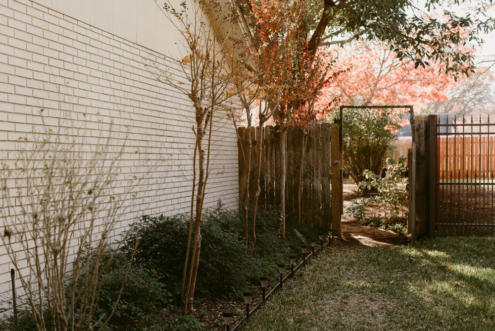 White brick wall and wooden fence in garden setting with natural sunlight.