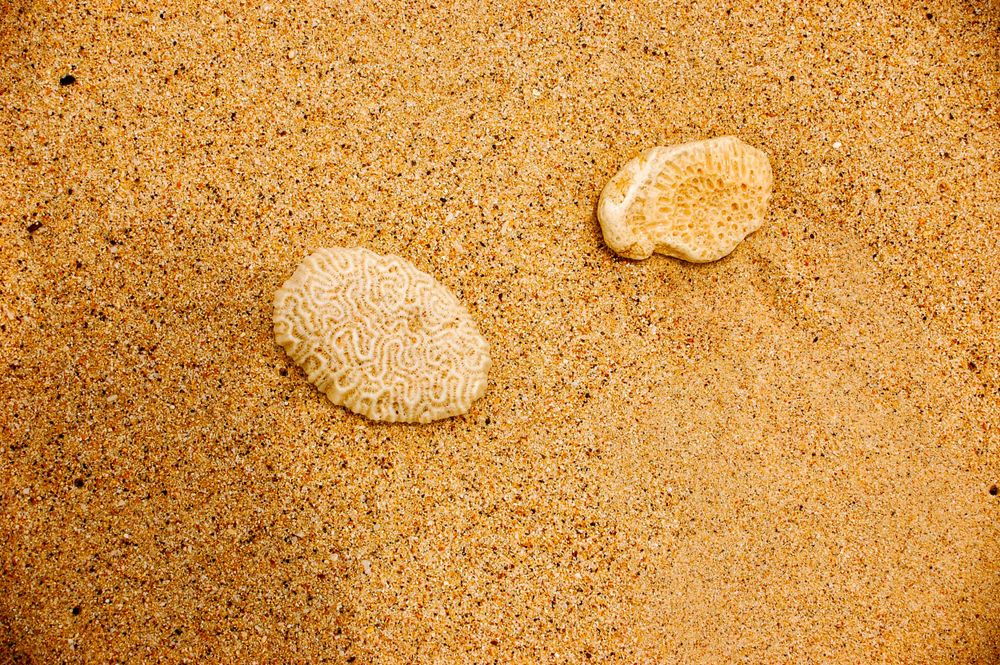 Two smooth stones rest on fine golden beach sand in close-up view.