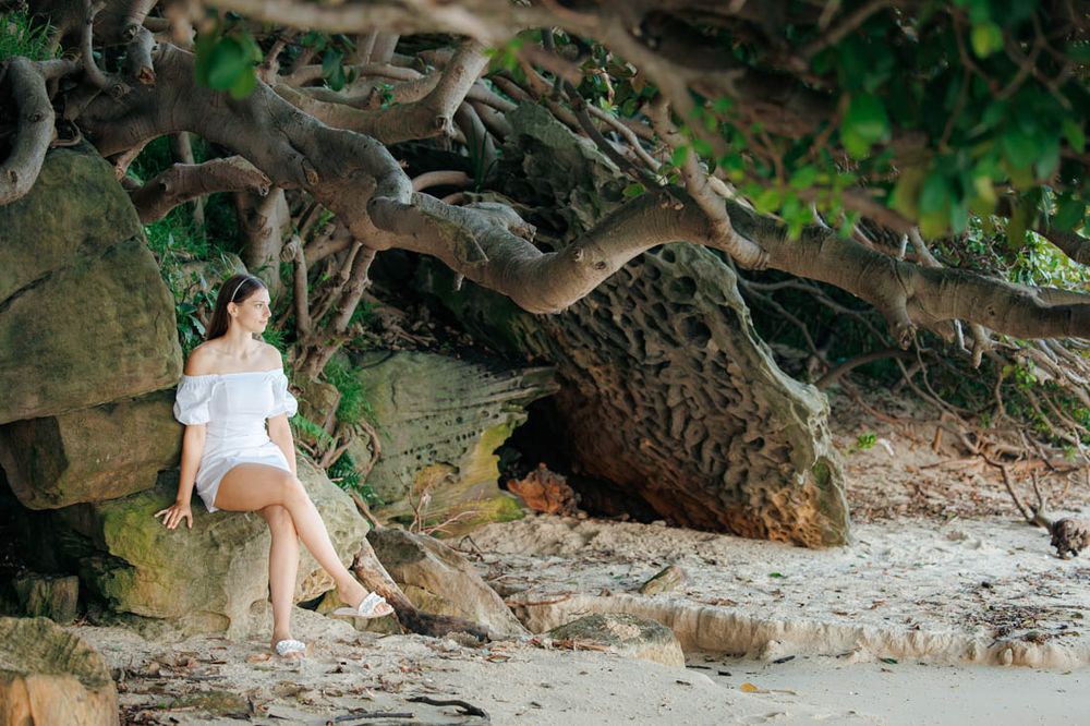 Natural rock formations and tree roots along a beach pathway.