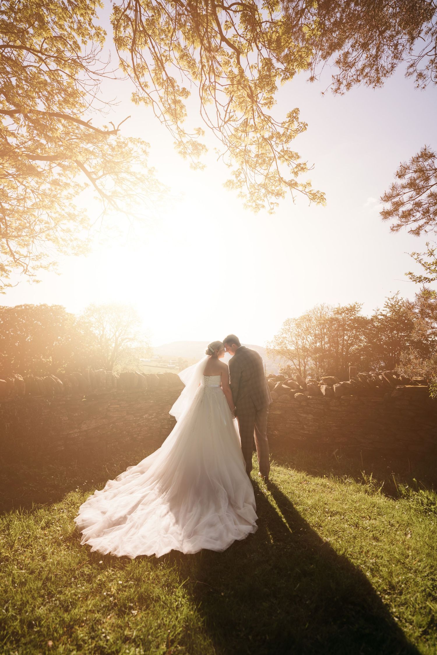 A silhouetted couple sharing a romantic moment at sunset under golden tree branches.