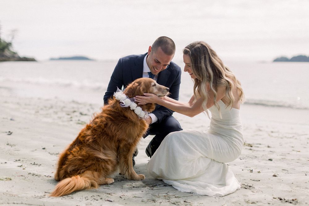 Bride and groom kneeling on beach with their golden retriever wearing a floral wreath collar.