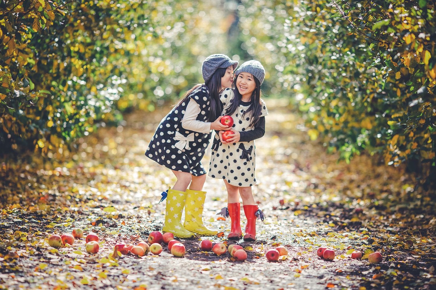 Two young Asian girls in polka dot dresses and rain boots pick apples in an autumn orchard.
