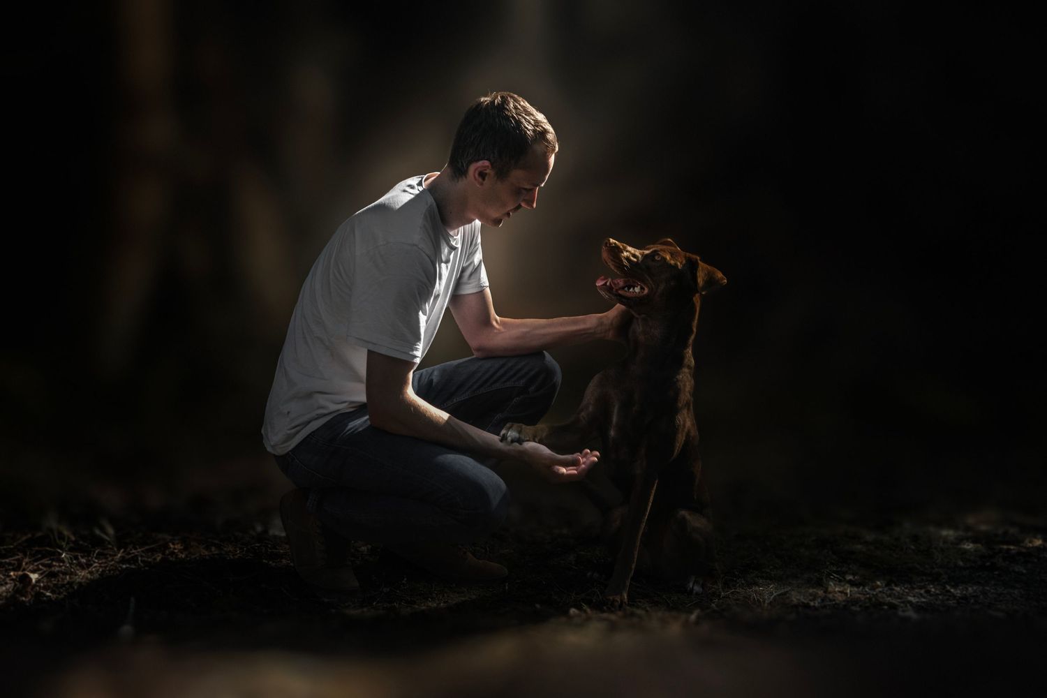 a man holding dogs paw,looking at each other, man bending on one knee, dog sitting, forest, light rays