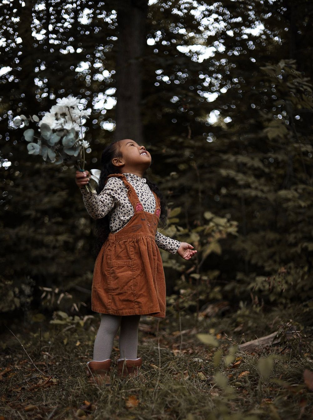 Isabella's Fall Shoot in Ancaster | Niagara Photography | Welland Photography | St. Catharines Photography