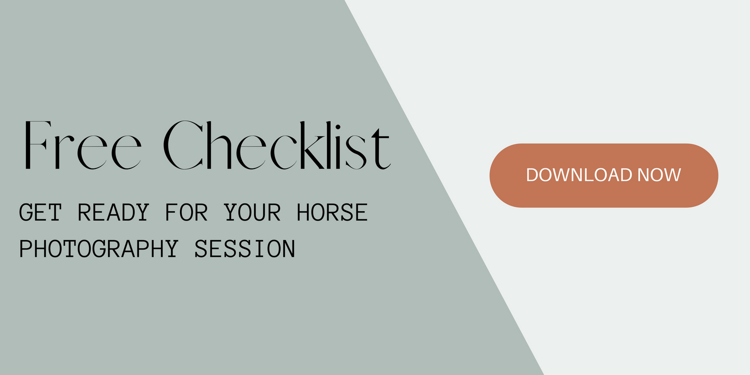 Minimalist design checklist banner for horse photography sessions with download button.
