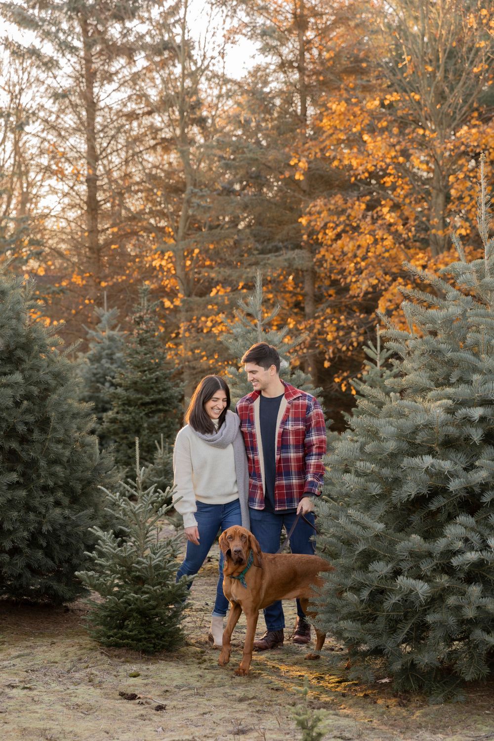 couple walking their dog through evergreen trees at Addison oaks