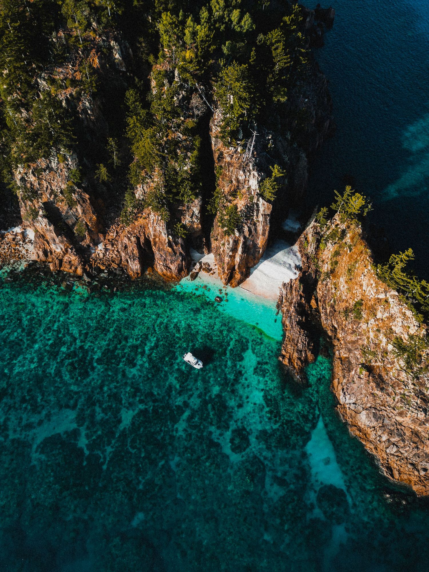 Hayman island