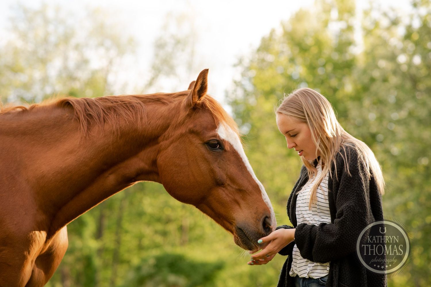 A chestnut horse and person share a quiet moment in a sunlit pasture with wooden fencing.