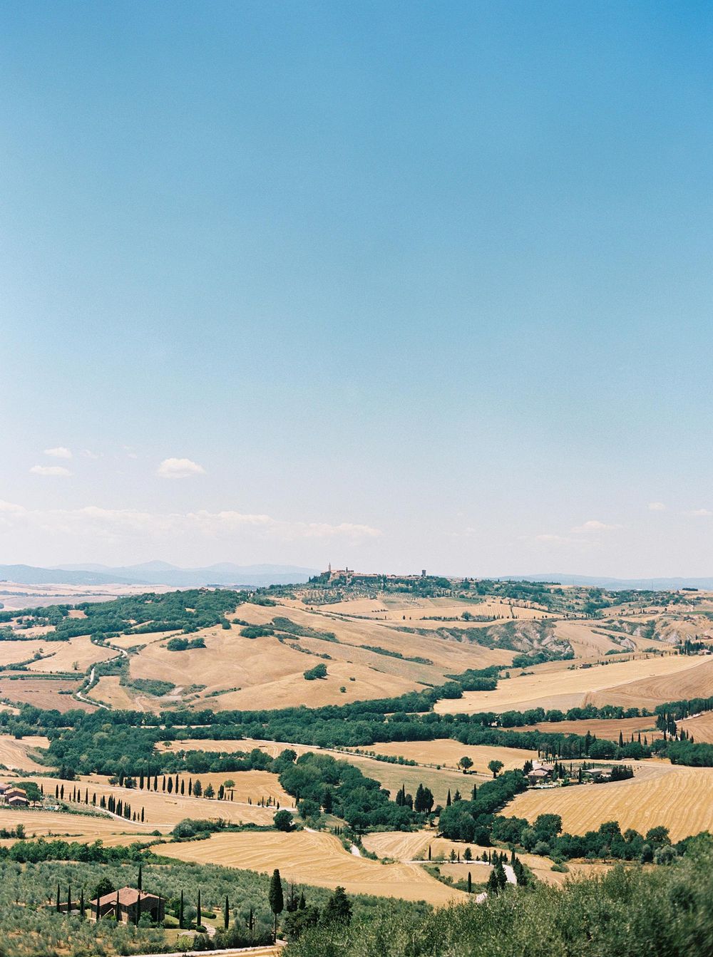 Elegant wedding photography amidst Tuscany's picturesque landscape, a perfect blend of love and nature.