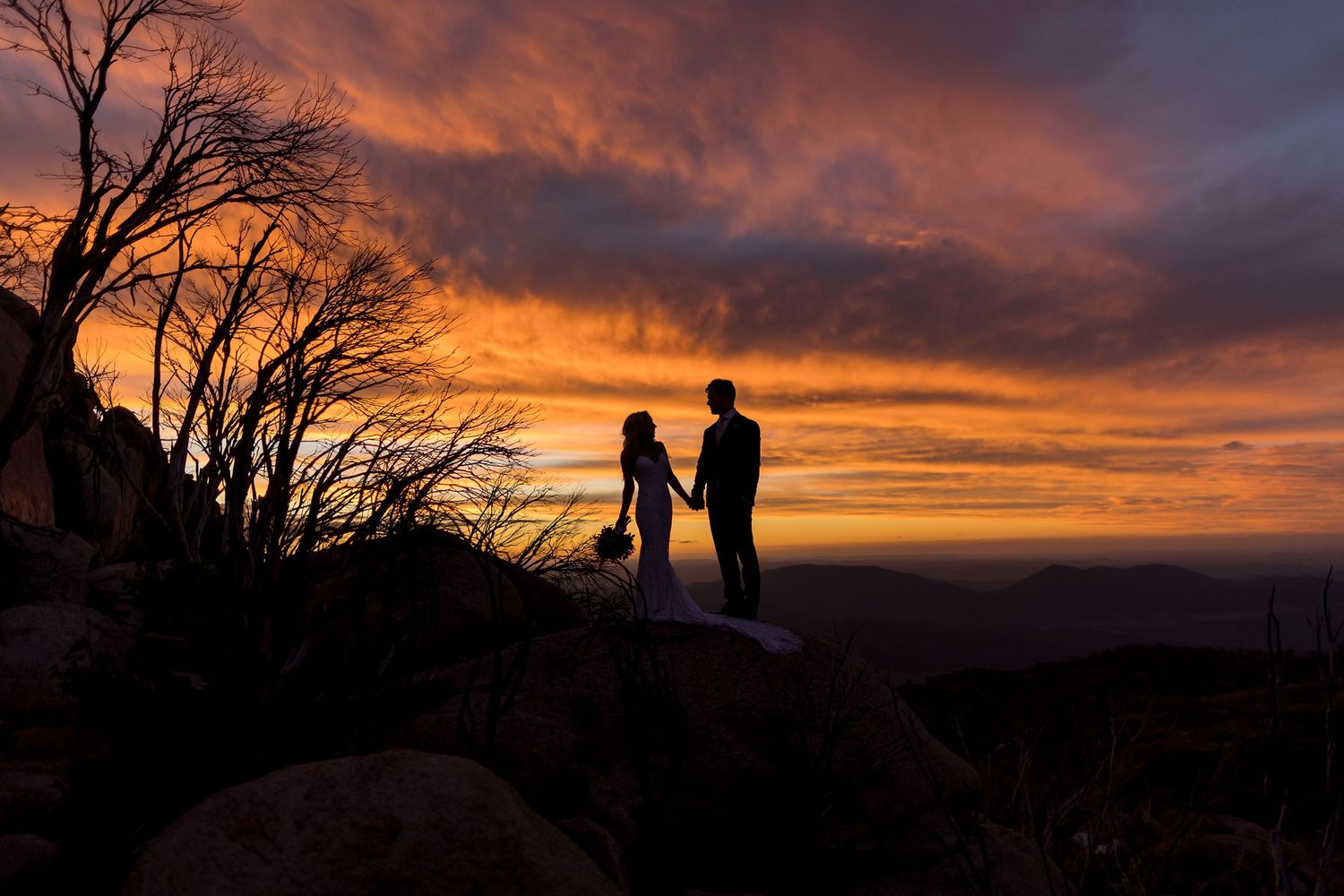 Albury Wedding Photographer, Canberra Wedding Photographer, Alpine Weddings, Winery Weddings, Mt.Buffalo Wedding