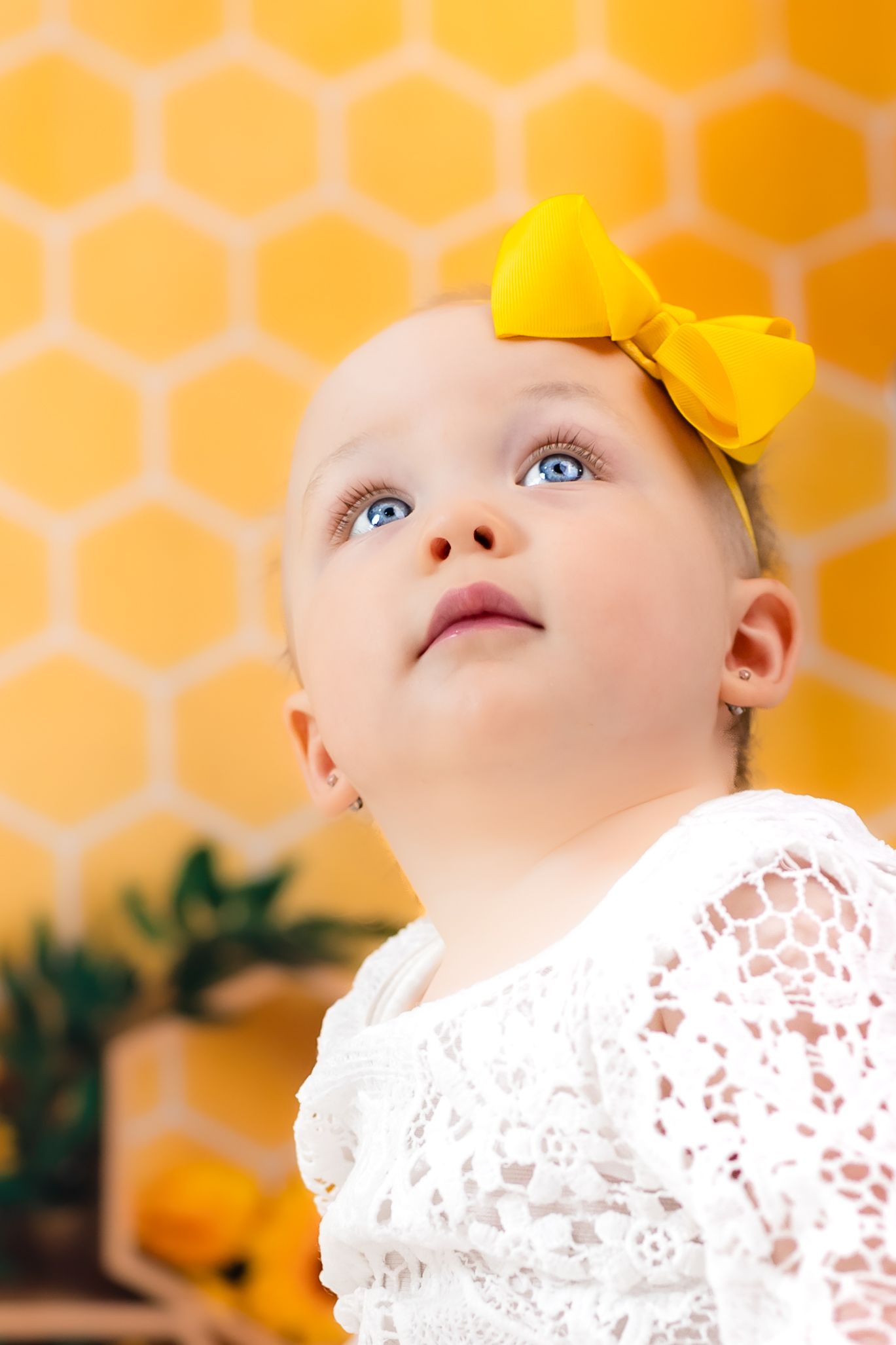 Family photographer 1st birthday milestone photo yellow sunflower