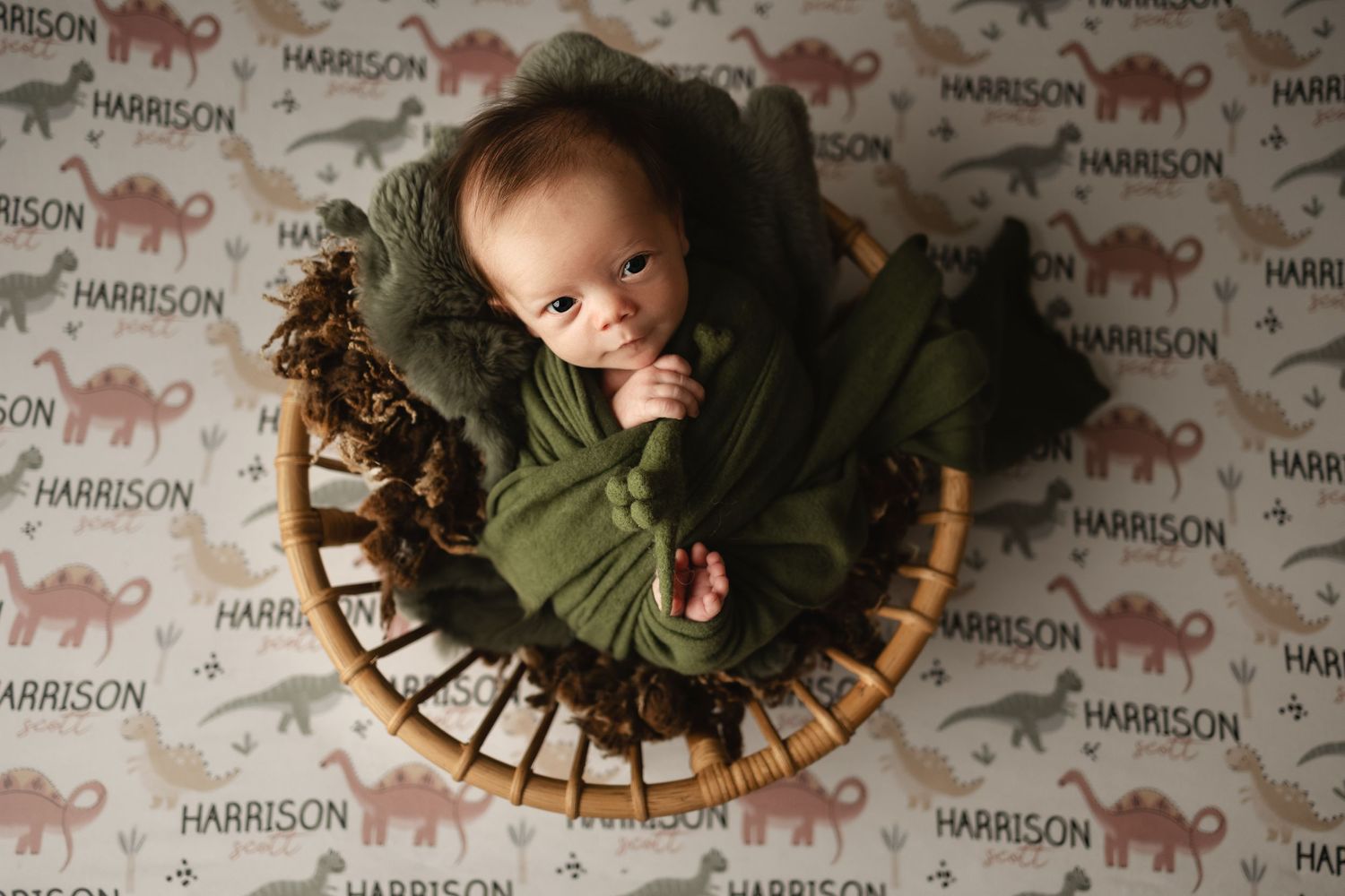 sarasota photographer