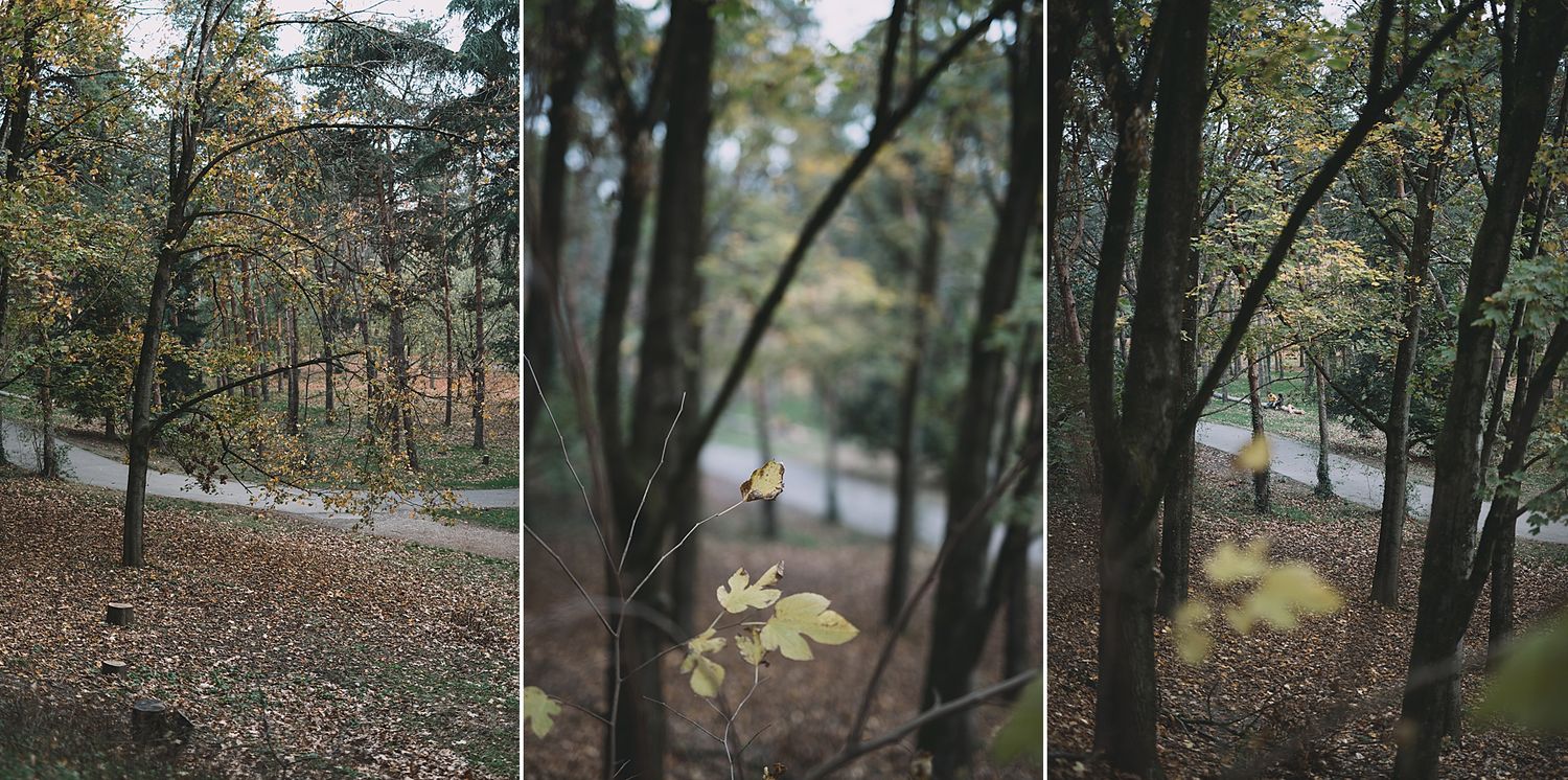couleurs d'automne celine.s Photography