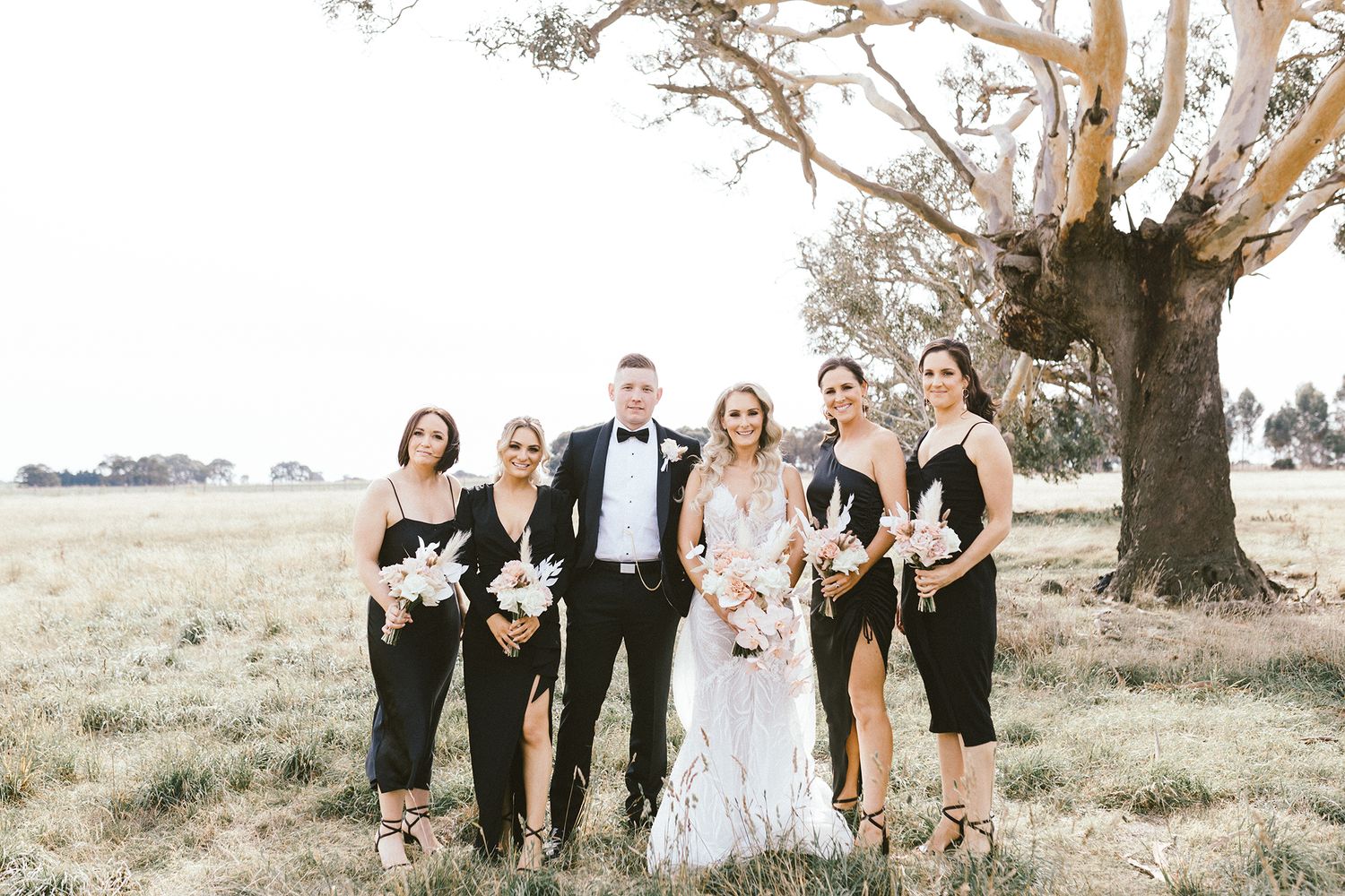 Wedding party in black and white attire poses beneath a large eucalyptus tree.