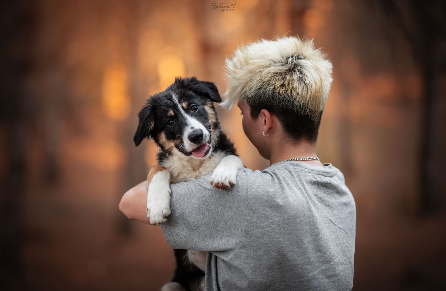 Shooting photo près d'Aix en Provence, photographiez votre chien en forêt