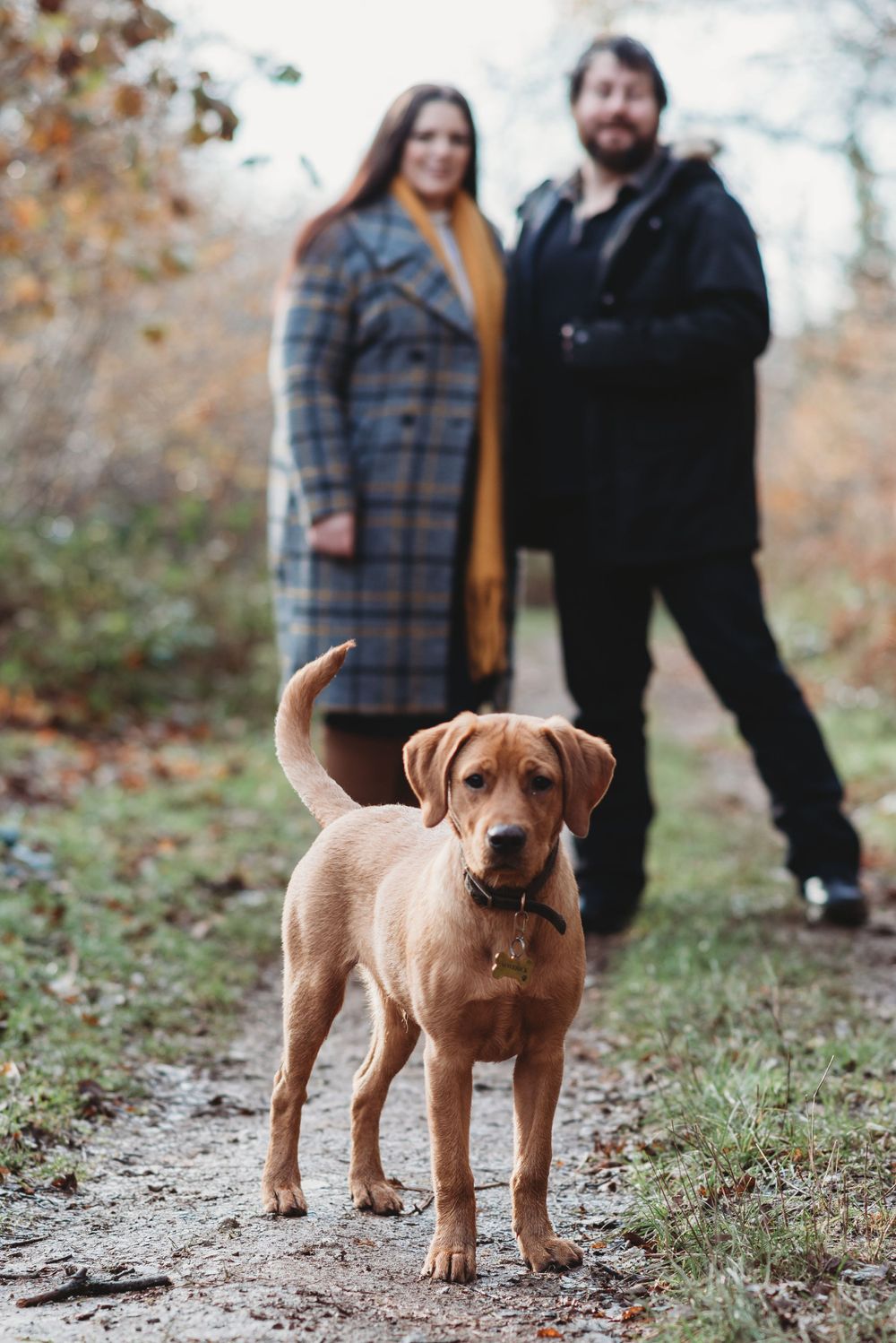 Family photography, Plymouth Devon
