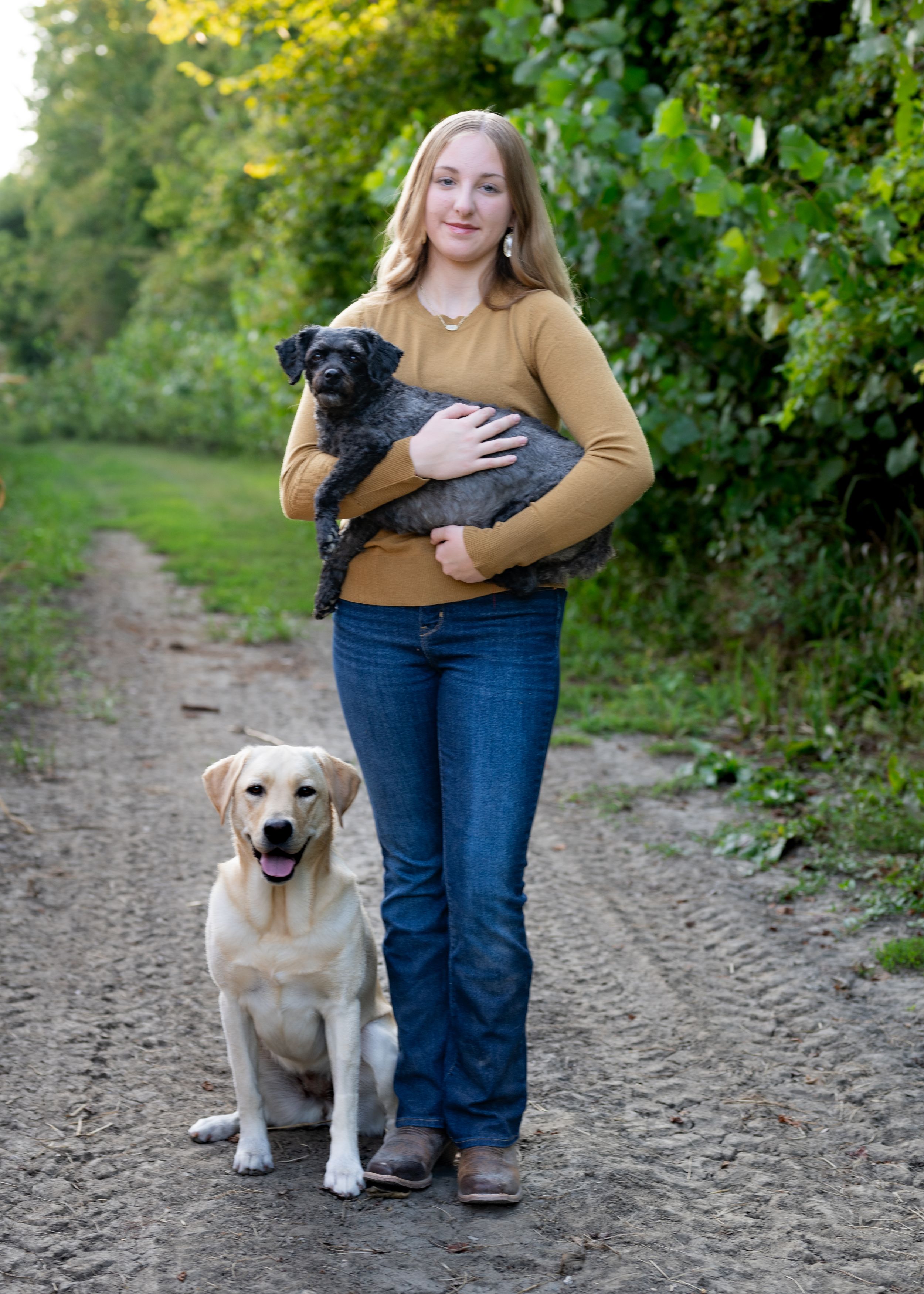 Person in yellow sweater holds black dog while yellow lab sits beside them on dirt path.
