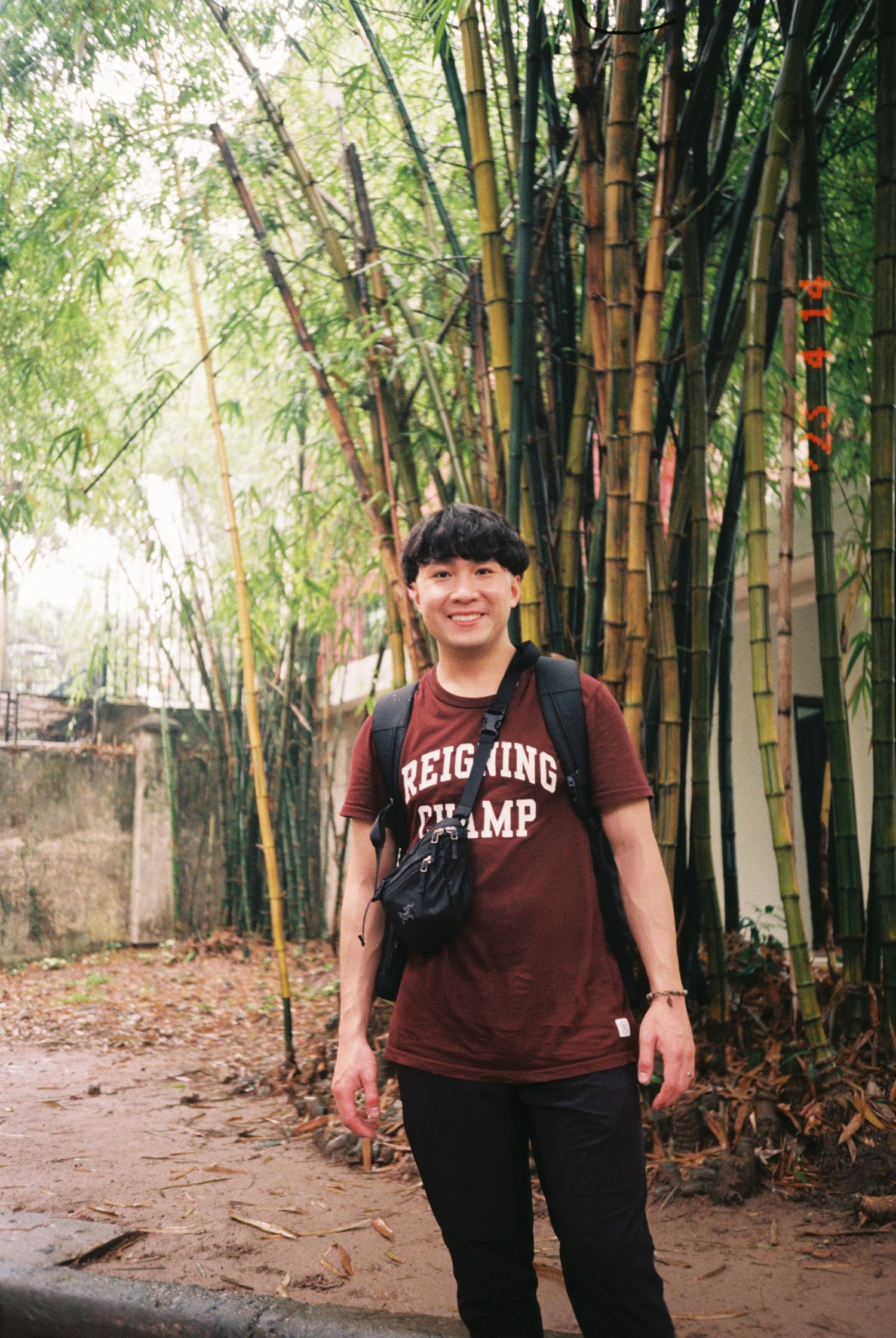 Bamboo forest path with fallen leaves creating a natural walkway through the grove.