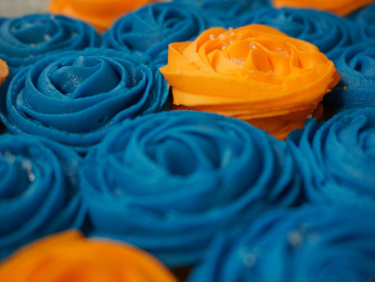 food photographer
Fresno photographer
cupcakes