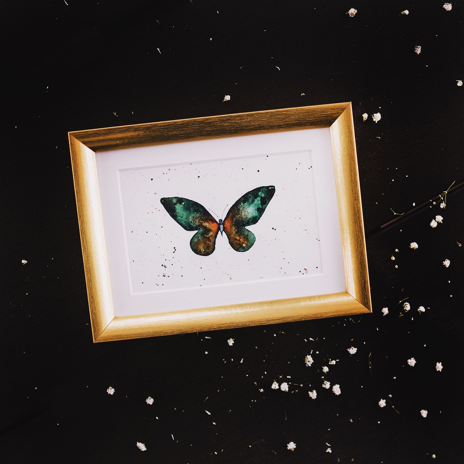 Butterfly watercolors
