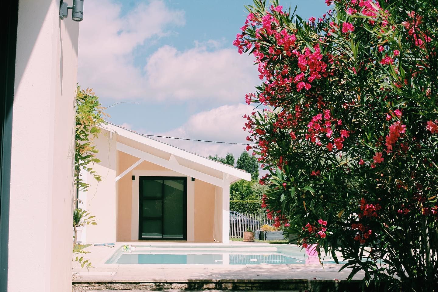 Modern house with swimming pool and blooming pink oleander flowers in the foreground.