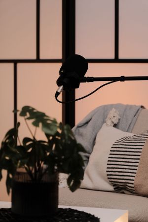 Modern interior design featuring grey throw pillows and indoor plants near window.