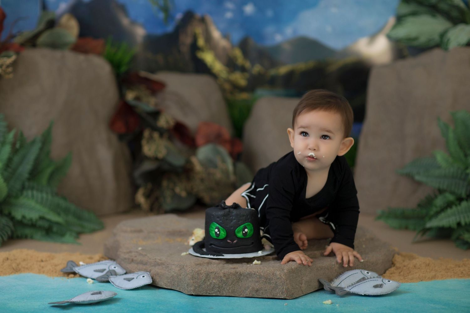 toothless dragon netflix cake smash, baby boy first birthday photoshoot, los angeles california, best photographer