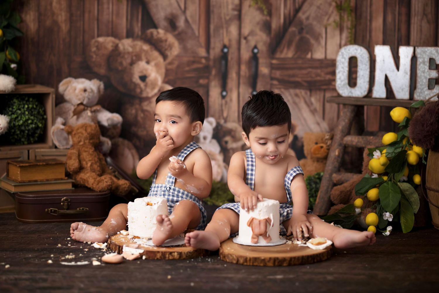 bear picnic cake smash, twin boy first birthday photoshoot, los angeles california, best photographer