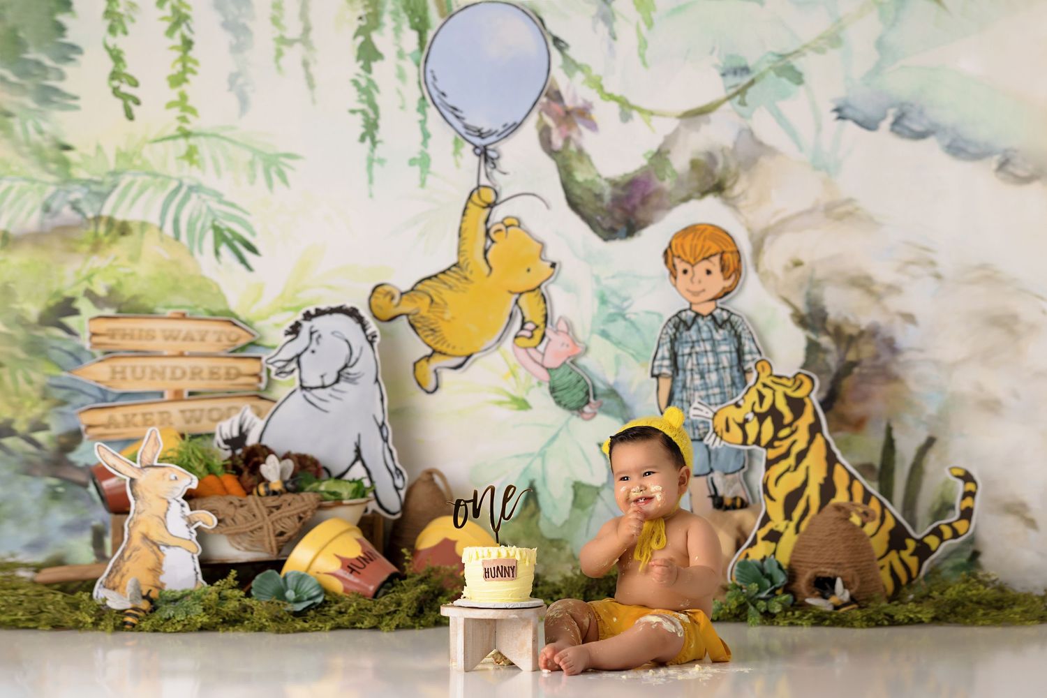 winnie the pooh storybook cake smash, baby boy first birthday photoshoot, los angeles california, best photographer