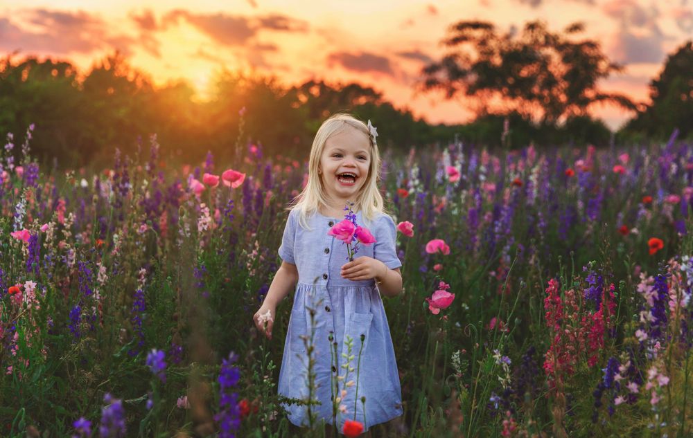 Vibrant wildflower field at sunset with purple lupines and golden light creating a magical summer scene.