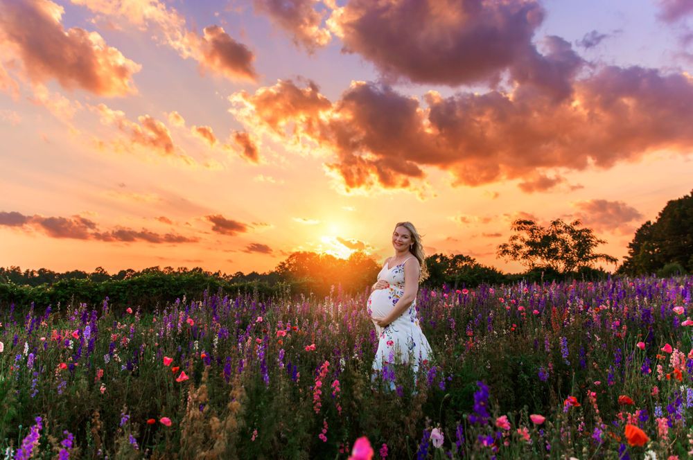 Dramatic sunset behind purple wildflowers with warm orange clouds painting the evening sky.
