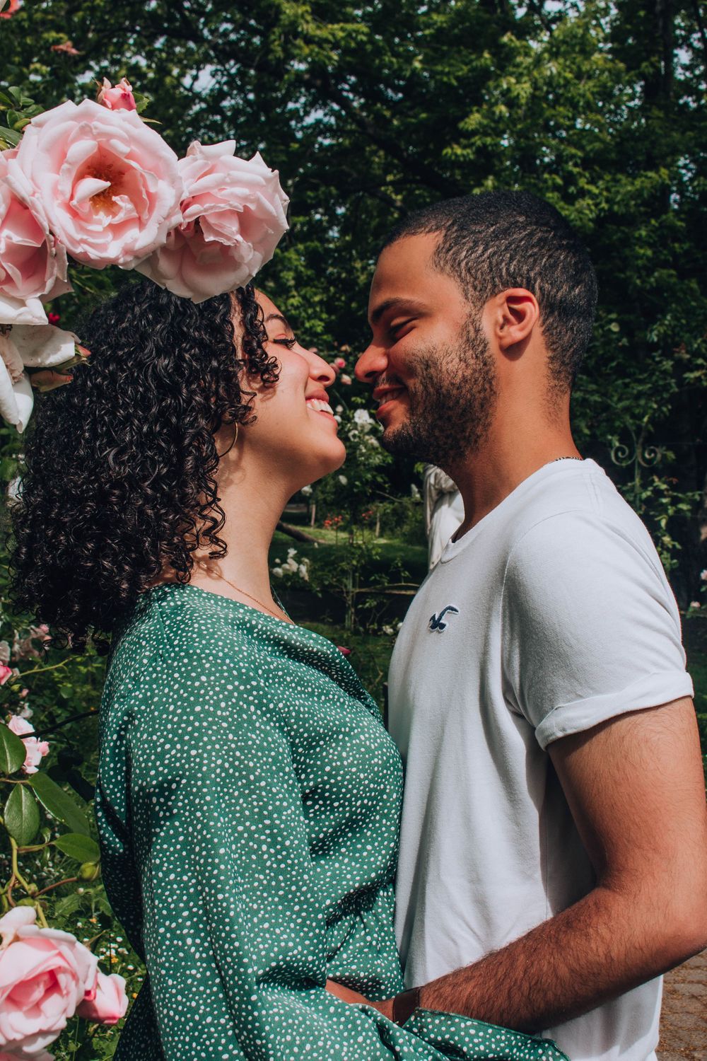A couple sharing an intimate moment surrounded by blooming pink roses.