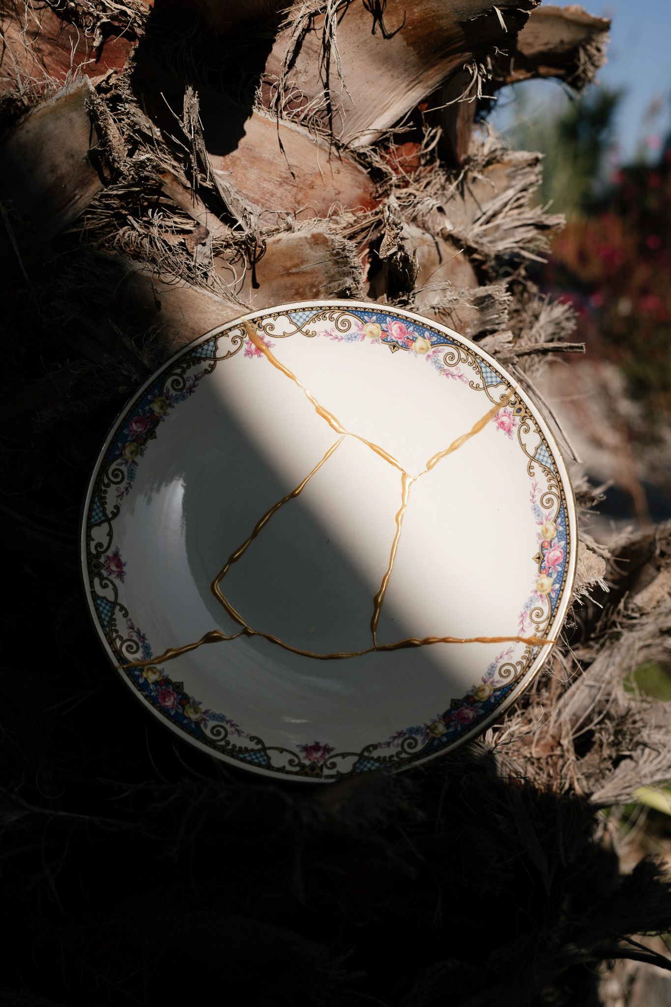 Photo de détails d'une assiette réparé dans un arbre