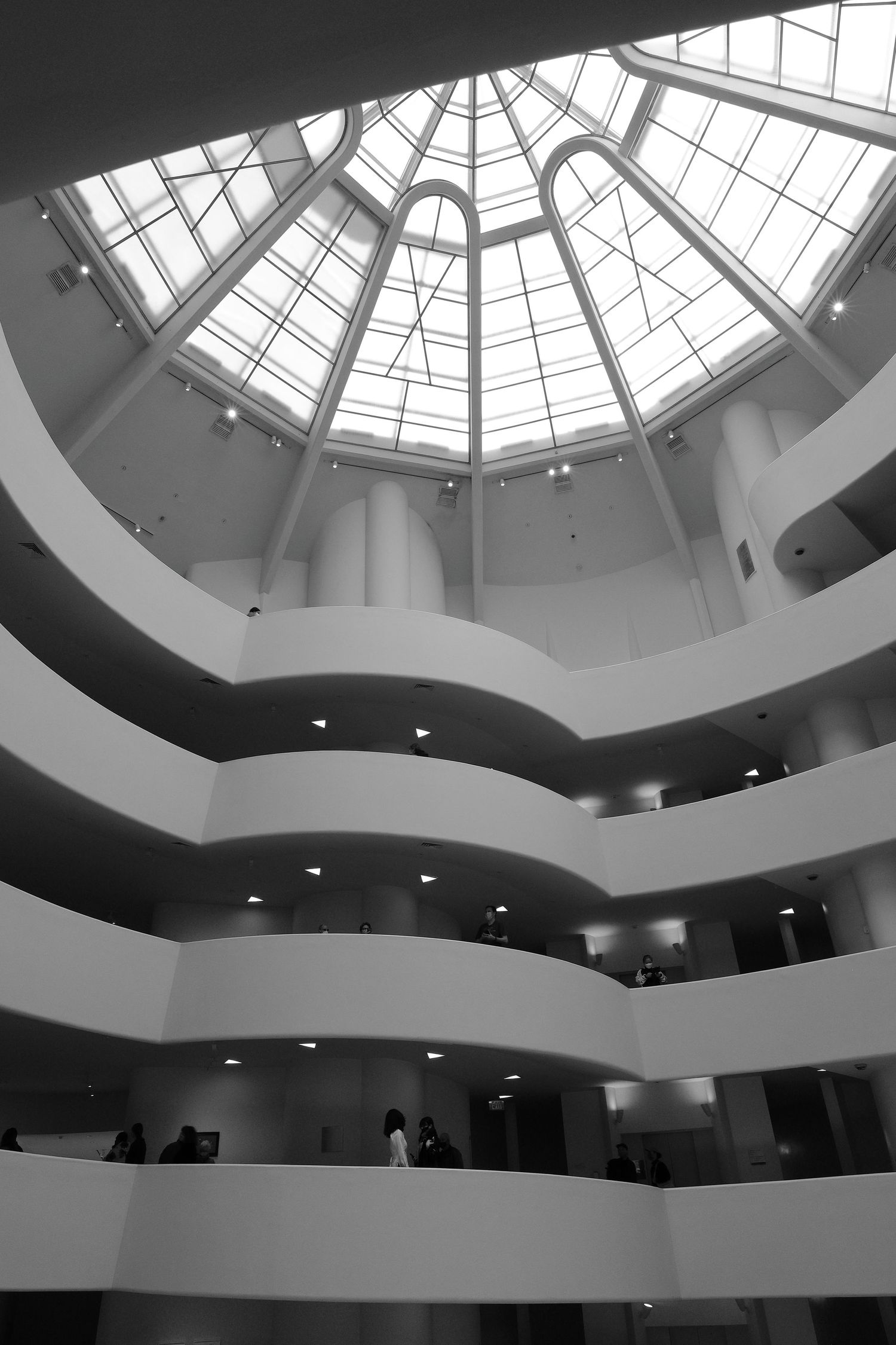 Modern museum interior with spiral glass ceiling and curved white levels in black and white.
