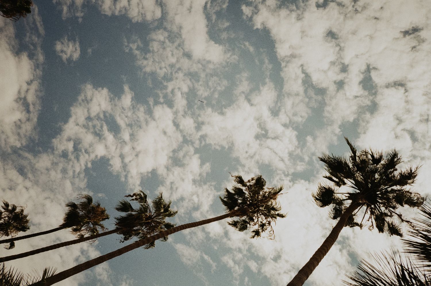 35mm film photo of fun bridal themed engagement shoot in Lido Marina, Newport beach