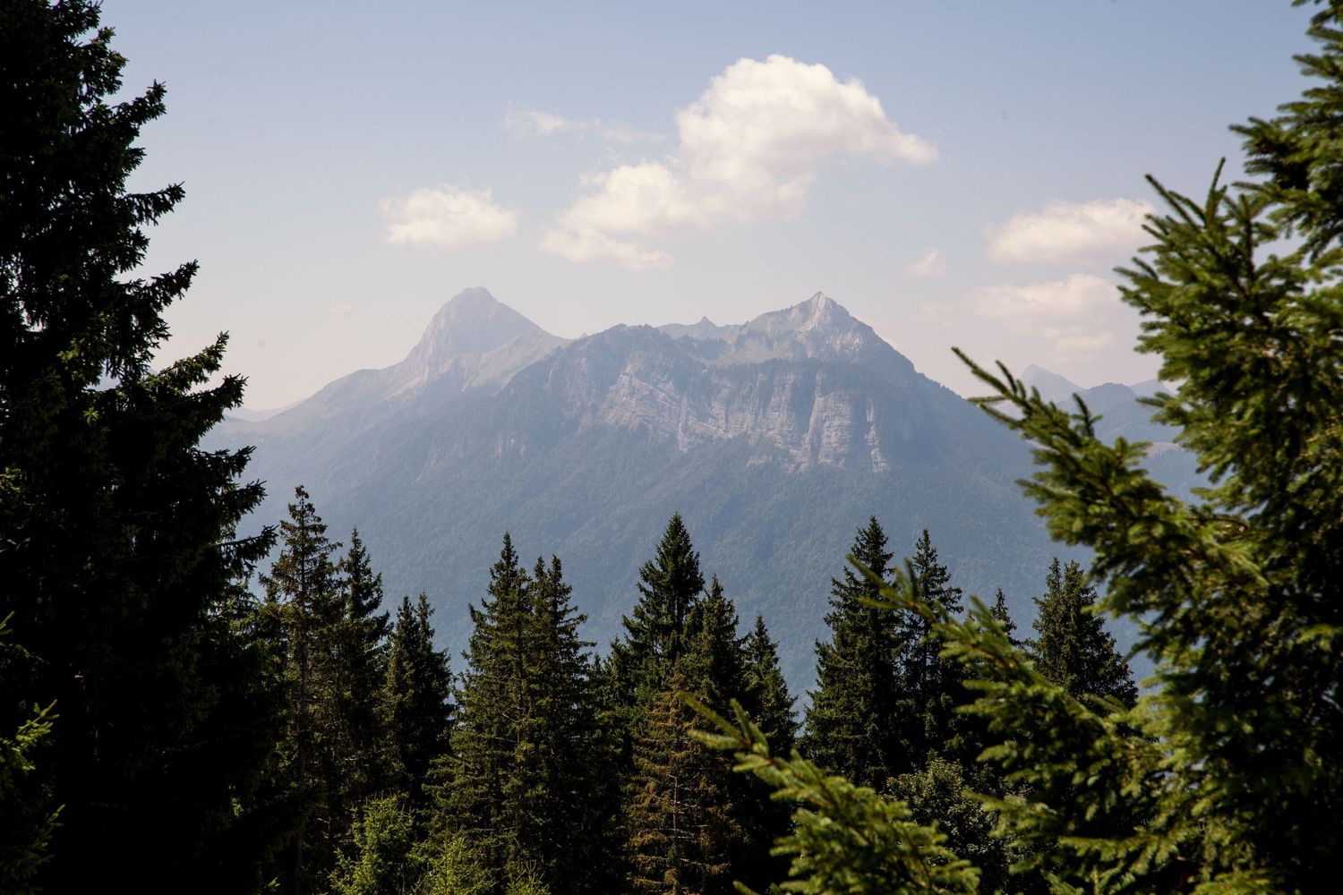Majestic mountain peaks rise above evergreen forest under puffy white clouds.