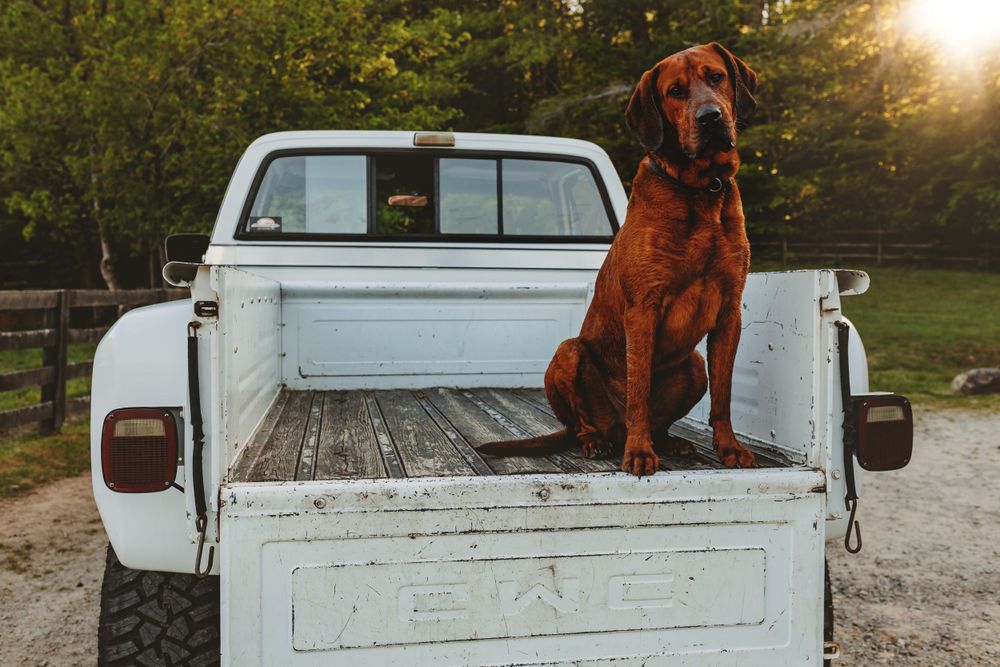 Gallery A Mountain Laurel Photography