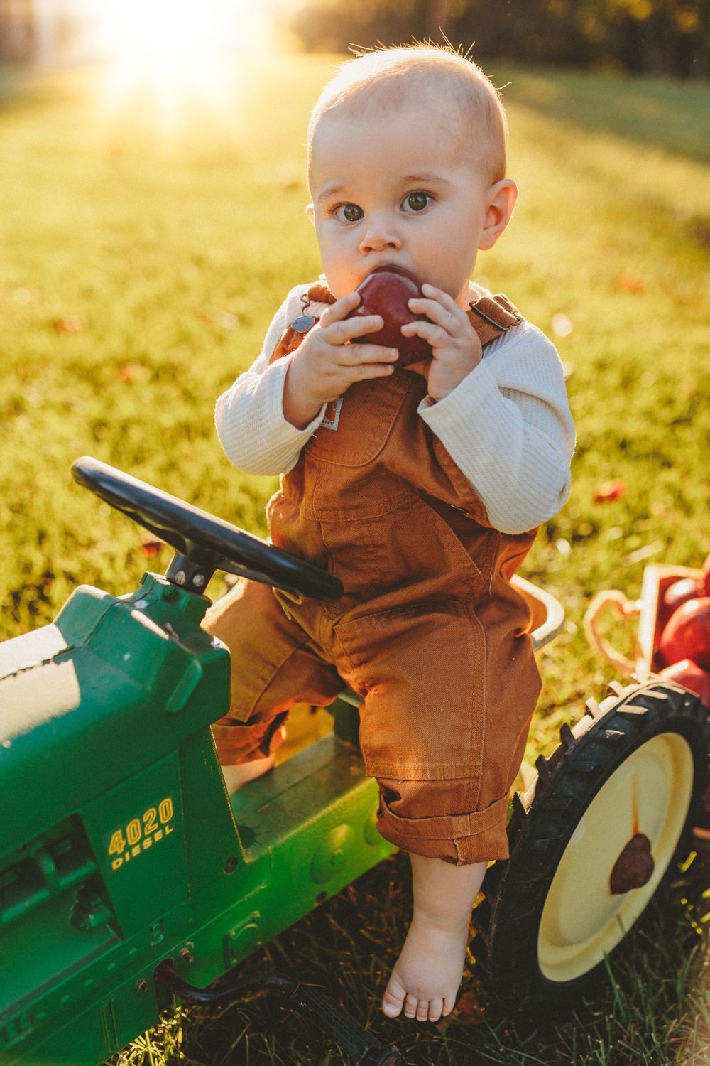 Gallery A Mountain Laurel Photography