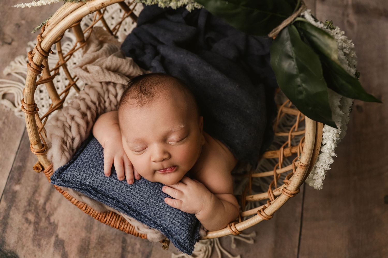 fine art newborn portrait of baby boy in prop