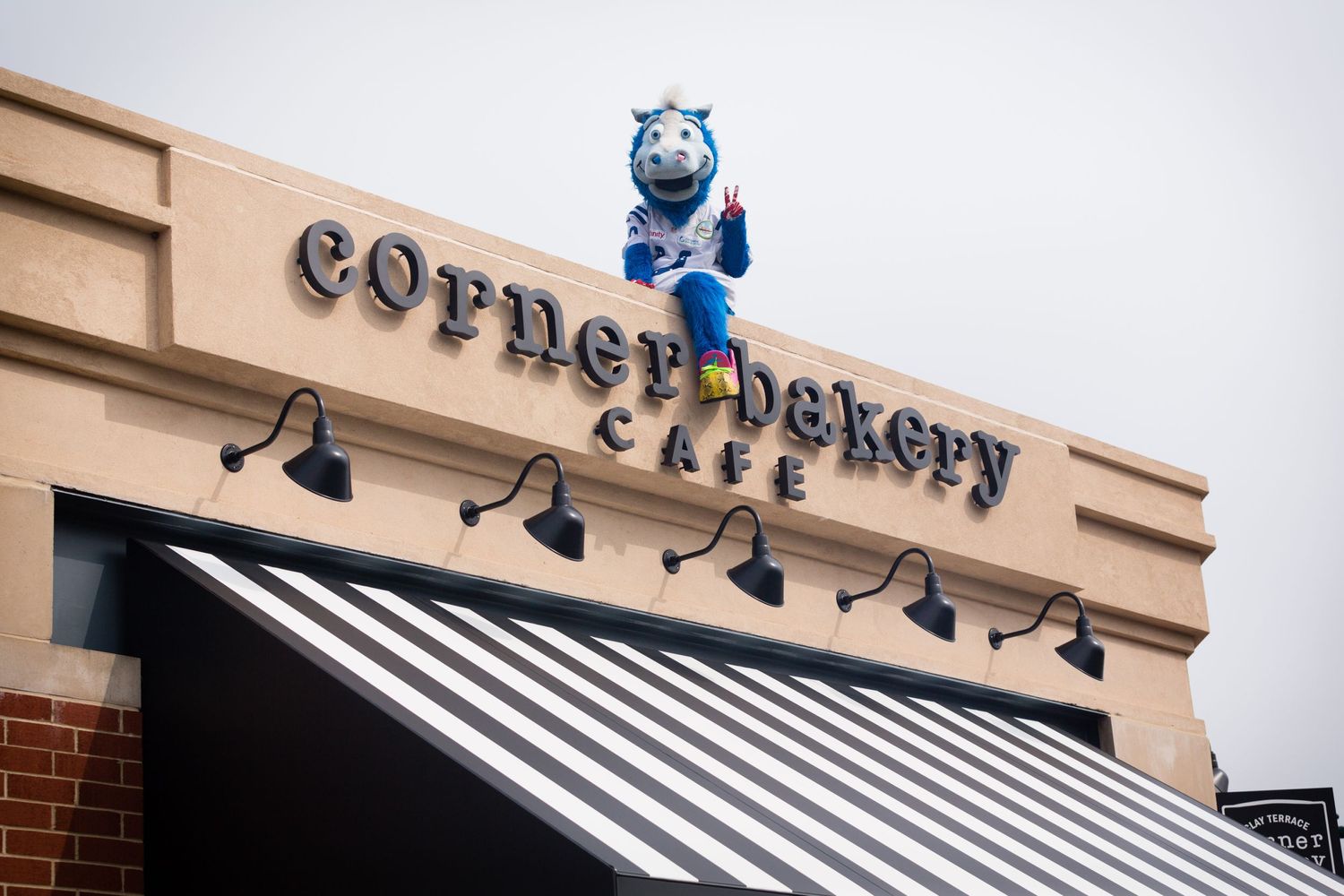 Corner baker grand opening with Blue, the Colts Mascot, made an appearance.